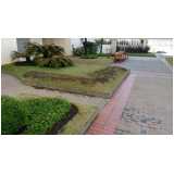 serviço de jardinagem para prédios preço Jardim São Paulo