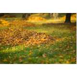 serviço de limpeza jardim preço MUTINGA