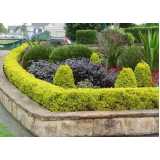 serviço de poda de plantas de jardim Jandira